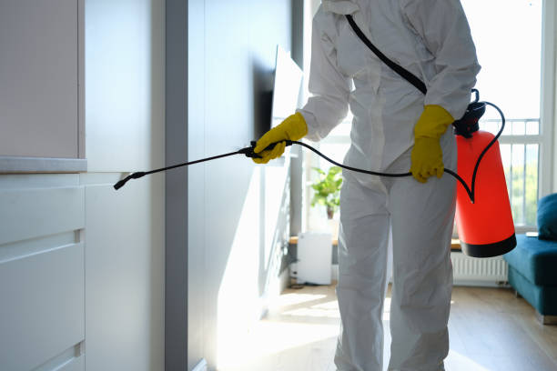 Best Attic Mold Remediation in Hudson Oaks, TX