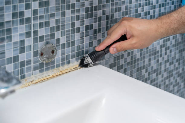Best White Mold Remediation in Hudson Oaks, TX