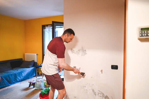 Best Insurance-Related Mold Remediation in Hudson Oaks, TX