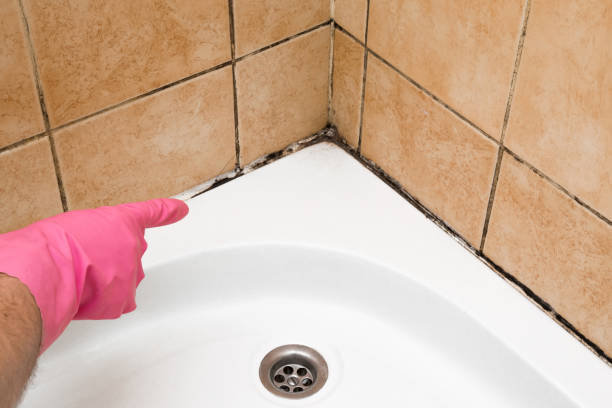 Best Bathroom Mold Remediation in Hudson Oaks, TX